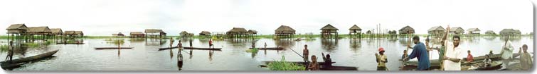 Wom Panorama