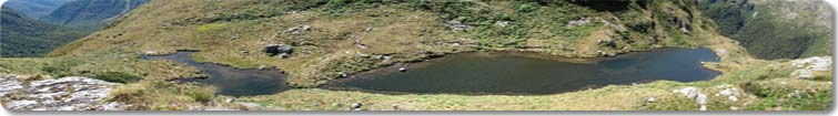 Henry Saddle Tarns
