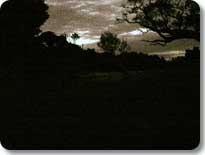At Night