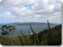 Codfish Island Codfish Island